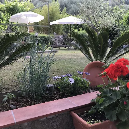 Moonlight- Bedbluesky Tatil Evi *