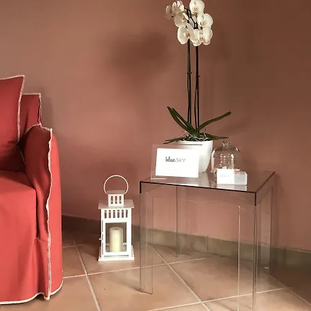 Moonlight- Bedbluesky