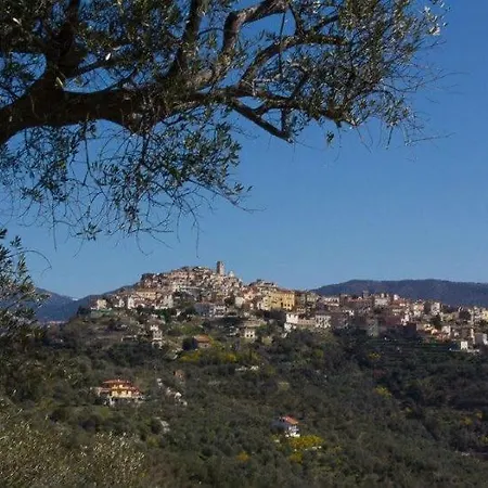 Moonlight- Bedbluesky Perinaldo