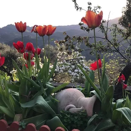 Moonlight- Bedbluesky Tatil Evi