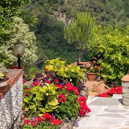 Tatil Evi Moonlight- Bedbluesky