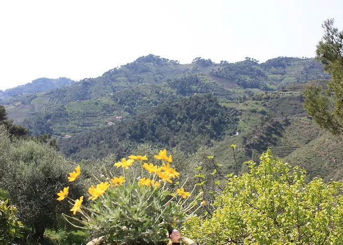 Moonlight- Bedbluesky Prázdninový dům *