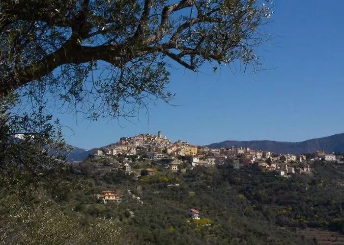 Moonlight- Bedbluesky Perinaldo