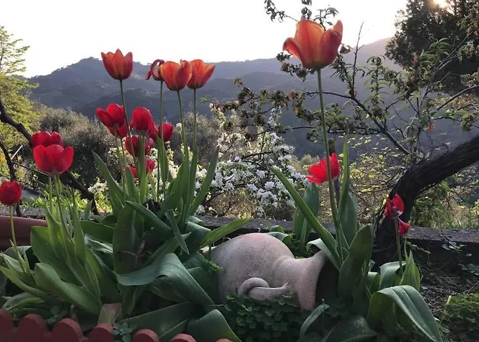 Moonlight- Bedbluesky Semesterbostad