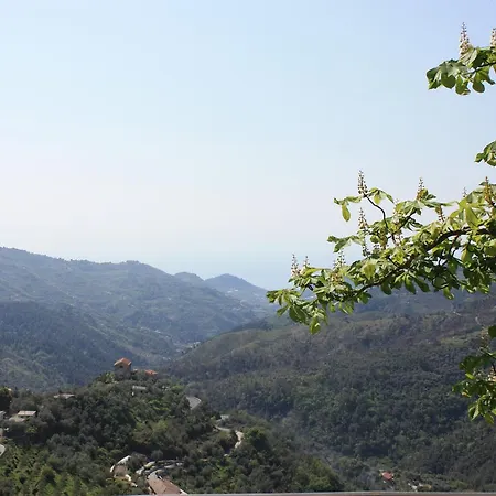 Moonlight- Bedbluesky