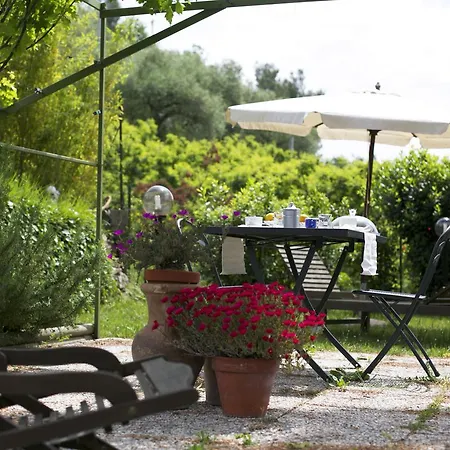 Moonlight- Bedbluesky