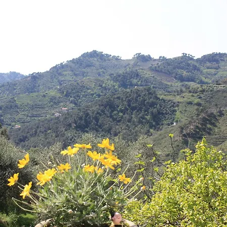 Moonlight- Bedbluesky 度假居 *