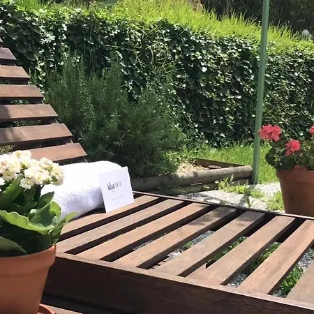 Moonlight- Bedbluesky