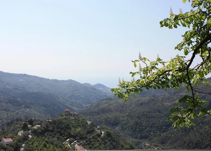 Moonlight- Bedbluesky