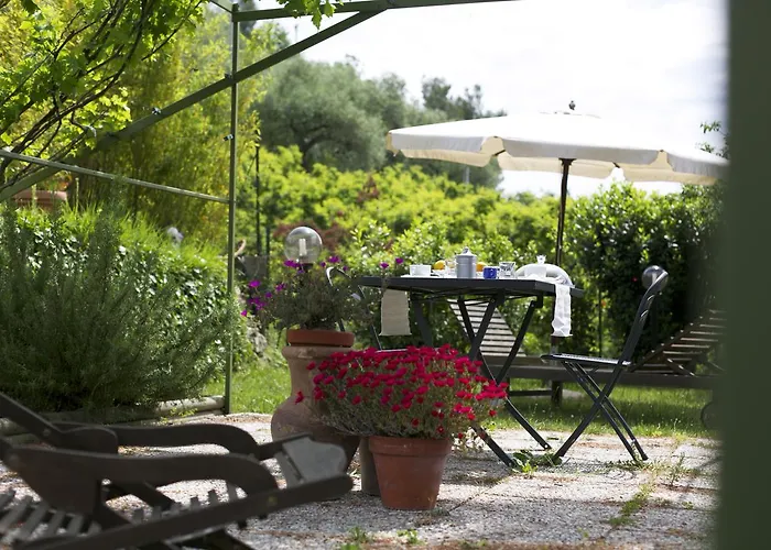 Moonlight- Bedbluesky