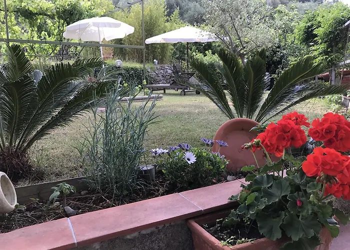 Moonlight- Bedbluesky بيت للعطل *