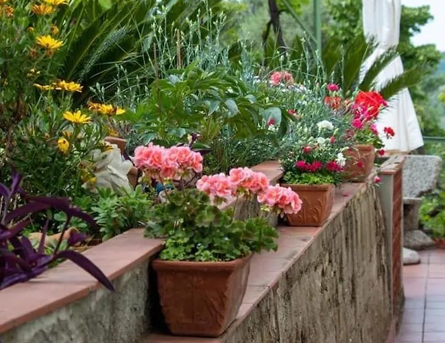 別荘 Moonlight- Bedbluesky Perinaldo